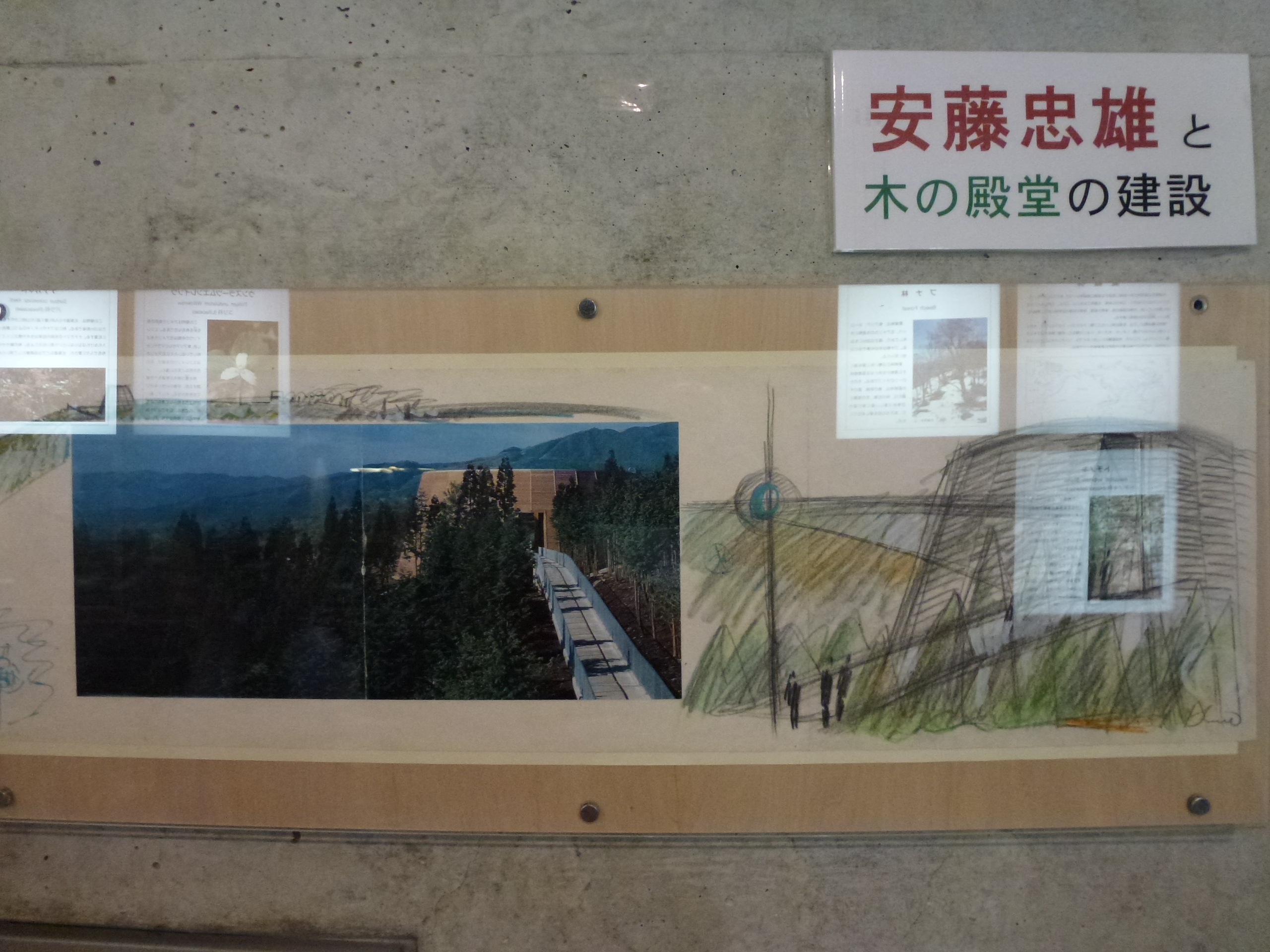 P1040773.JPG