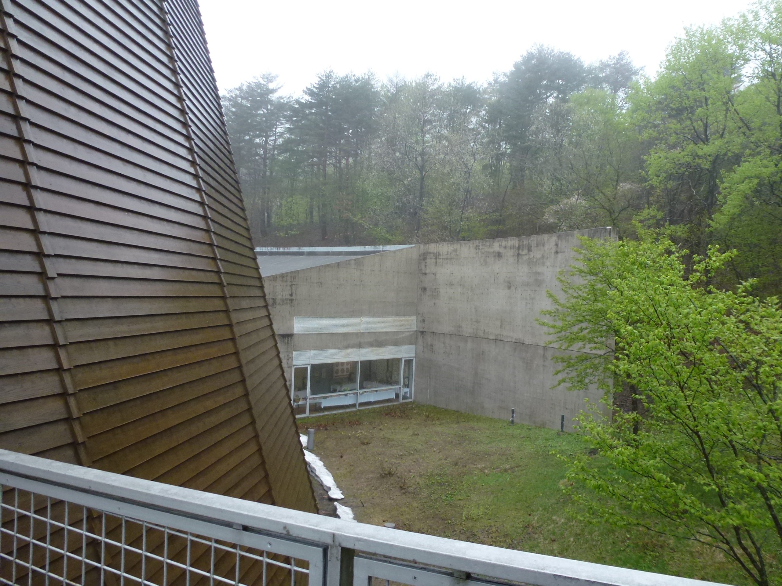 P1040779.JPG