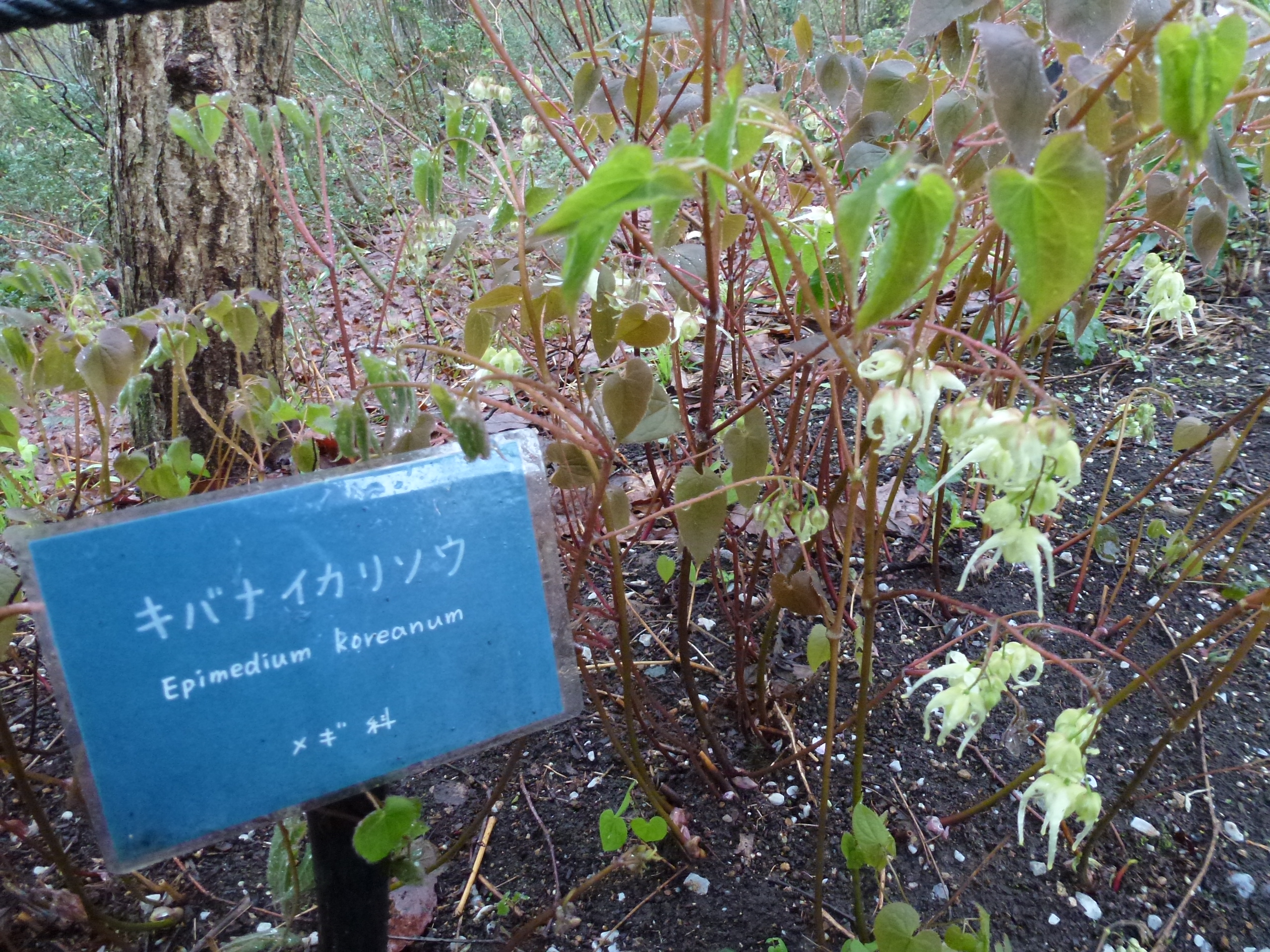 P1040784.JPG