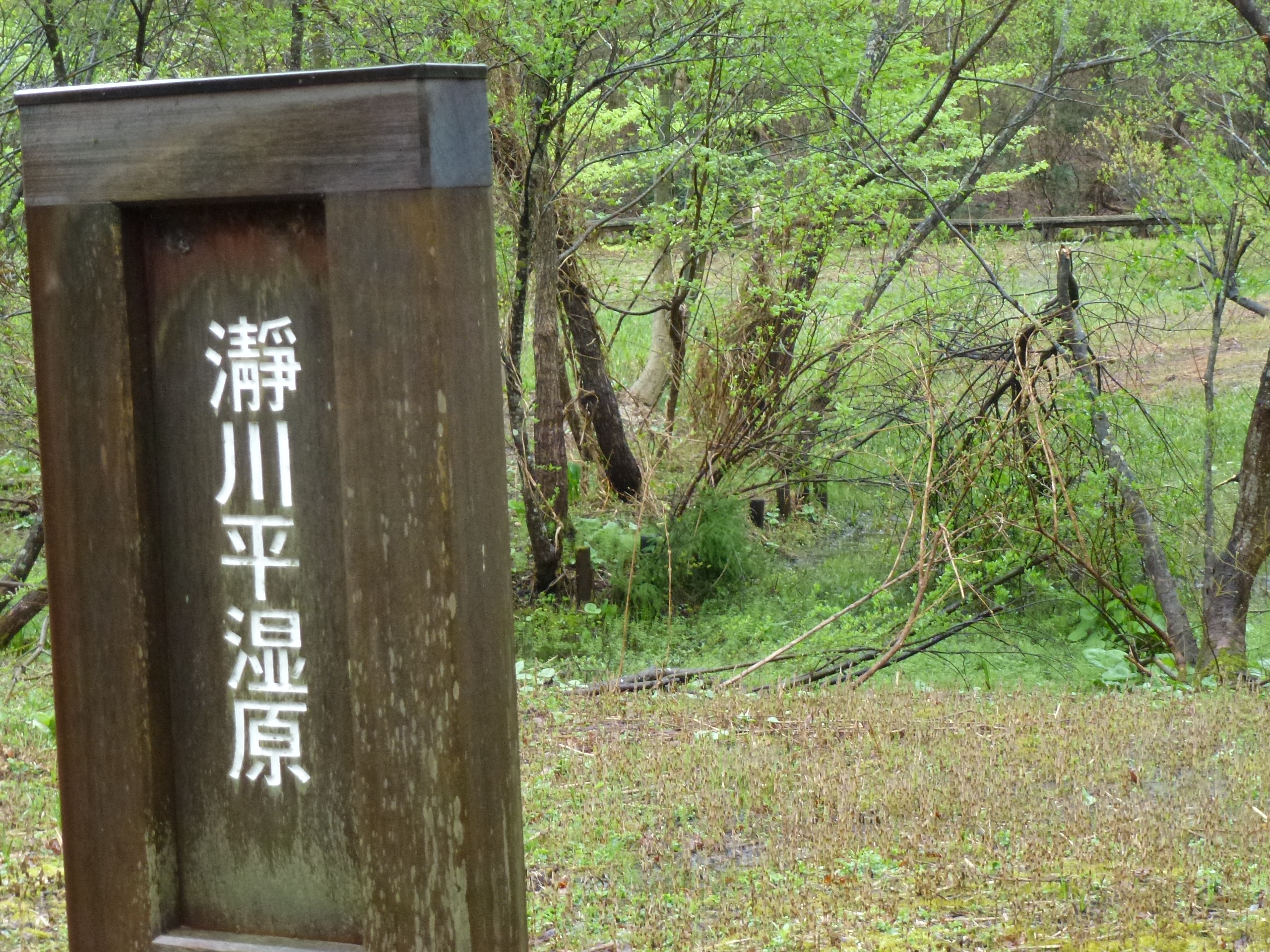 P1040800.JPG