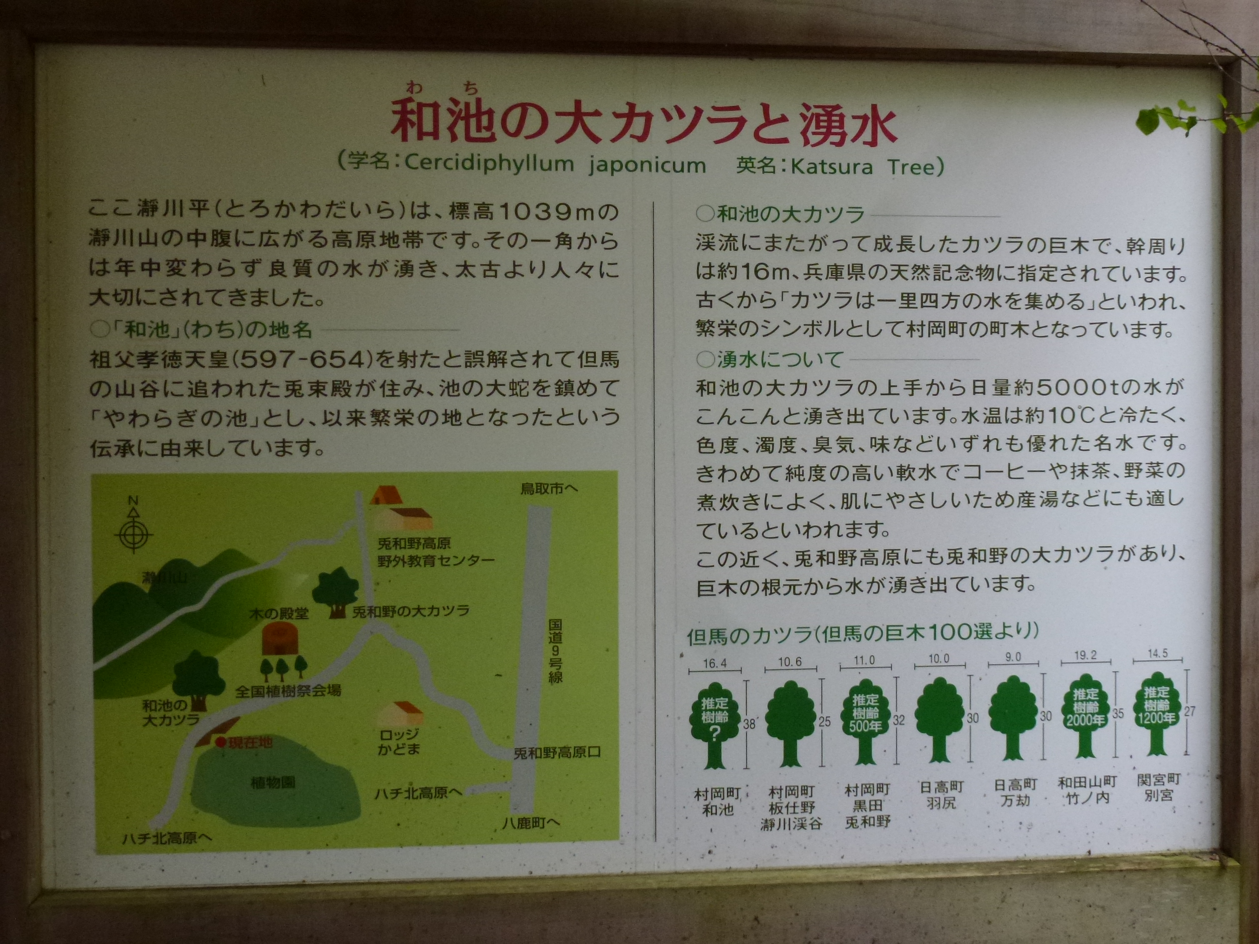 P1040810.JPG