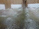img0019.jpg