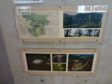 img0027.jpg