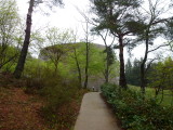 img0034.jpg