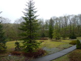 img0042.jpg