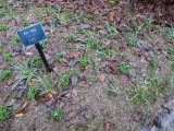 img0043.jpg
