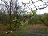 img0048.jpg