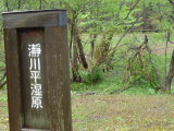 img0049.jpg