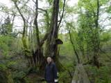 img0060.jpg