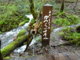 img0061.jpg
