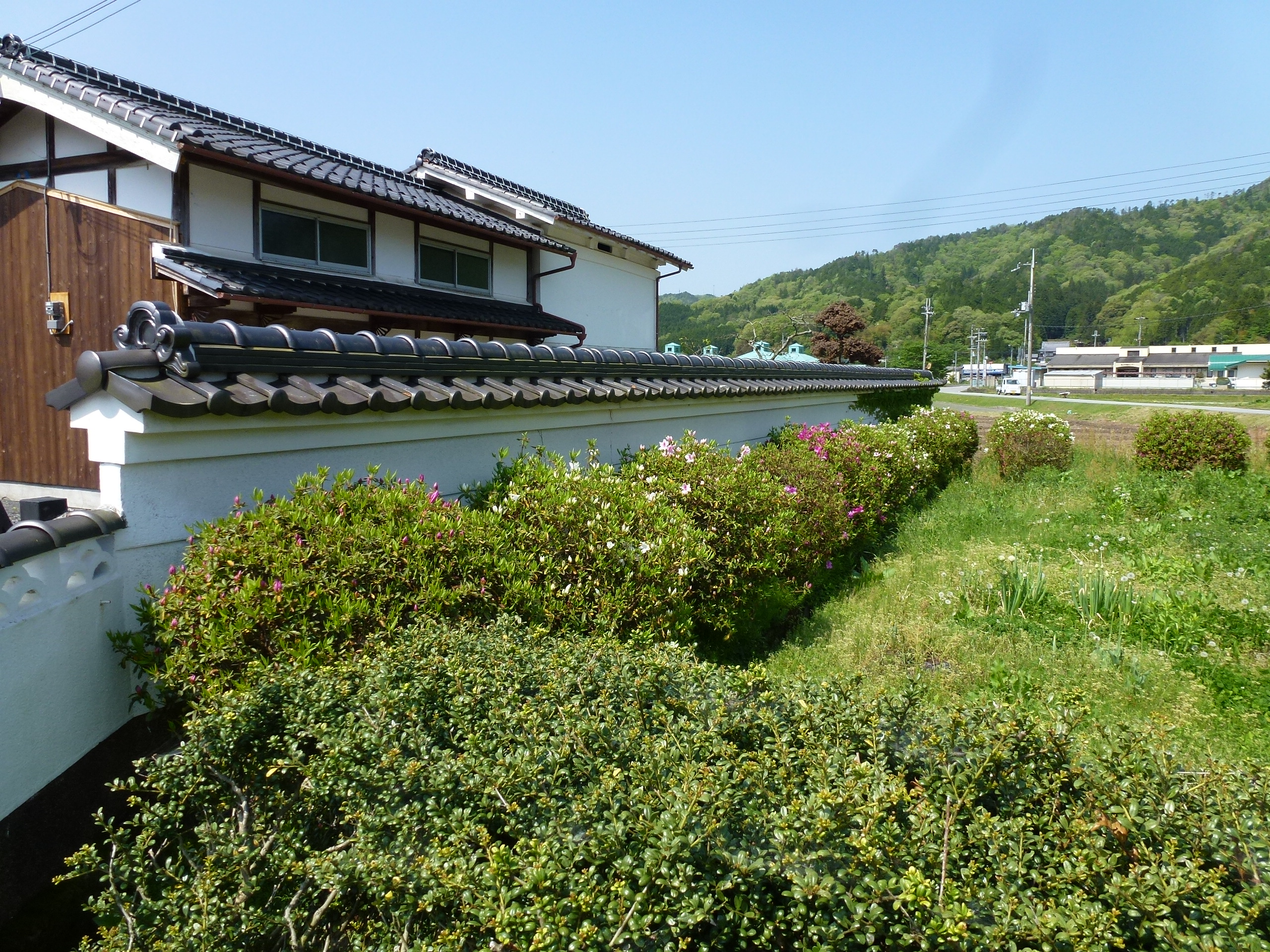 P1040824.JPG