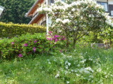 img0006.jpg