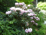 img0011.jpg