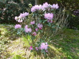 img0012.jpg