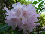 img0014.jpg
