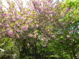 img0019.jpg