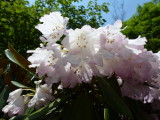 img0020.jpg