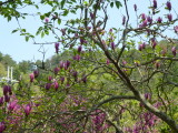 img0023.jpg