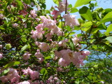 img0024.jpg