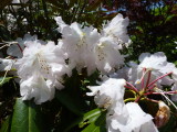 img0025.jpg