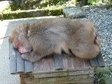 img0027.jpg