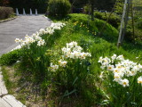 img0009.jpg
