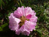 img0011.jpg