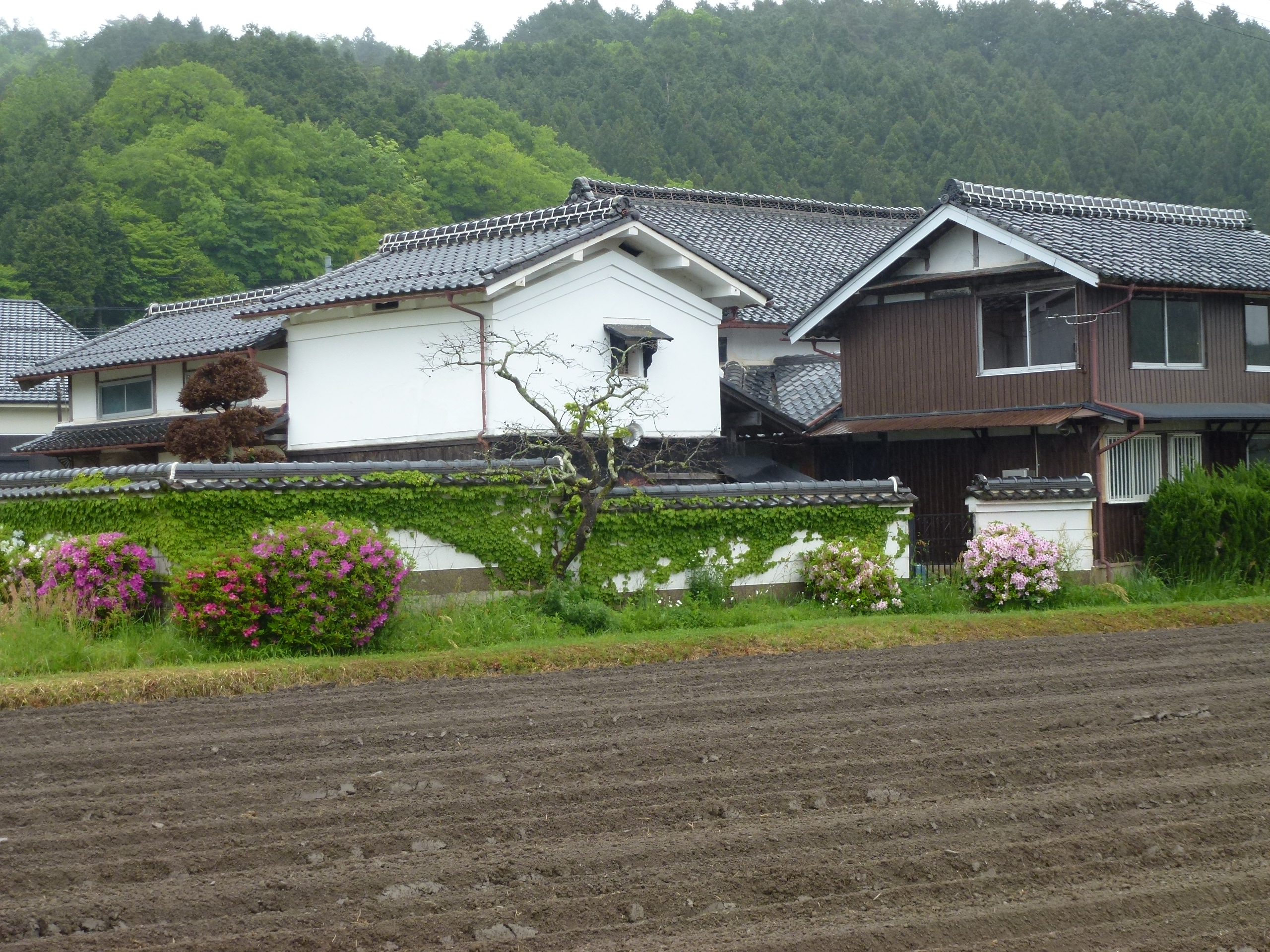 P1040902.JPG