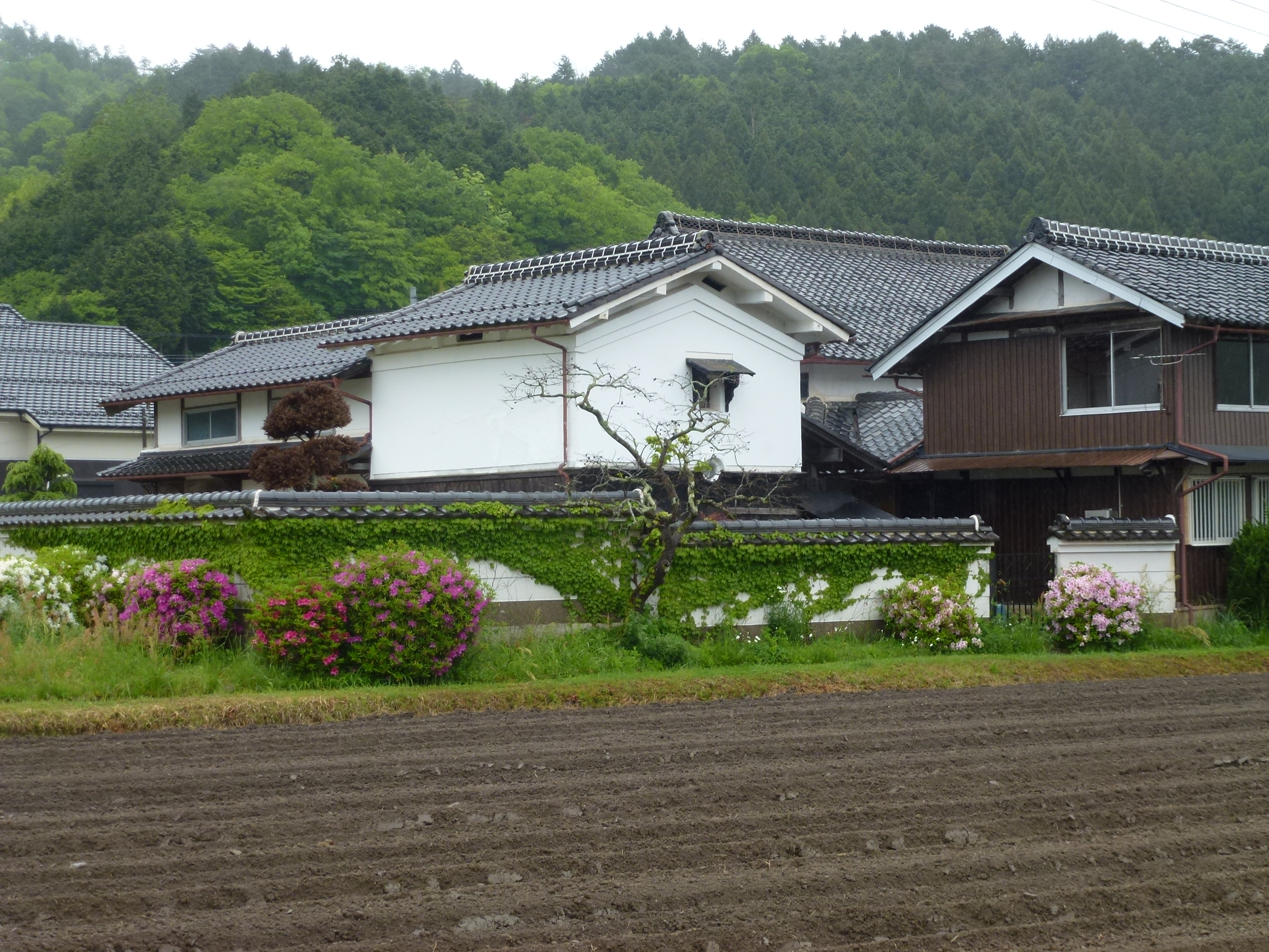 P1040903.JPG