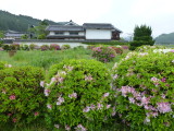 img0011.jpg