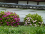 img0014.jpg