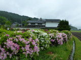 img0015.jpg