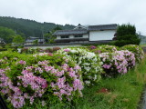 img0016.jpg