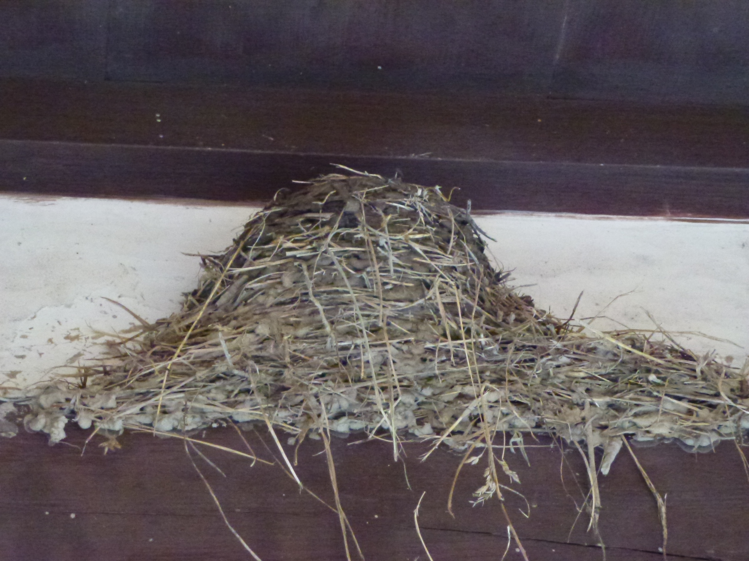 P1050100.JPG