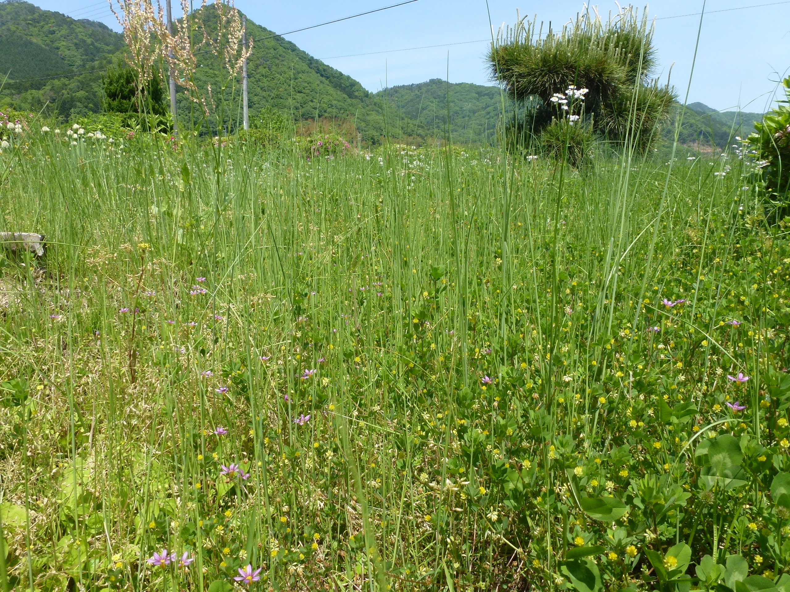 P1050103.JPG