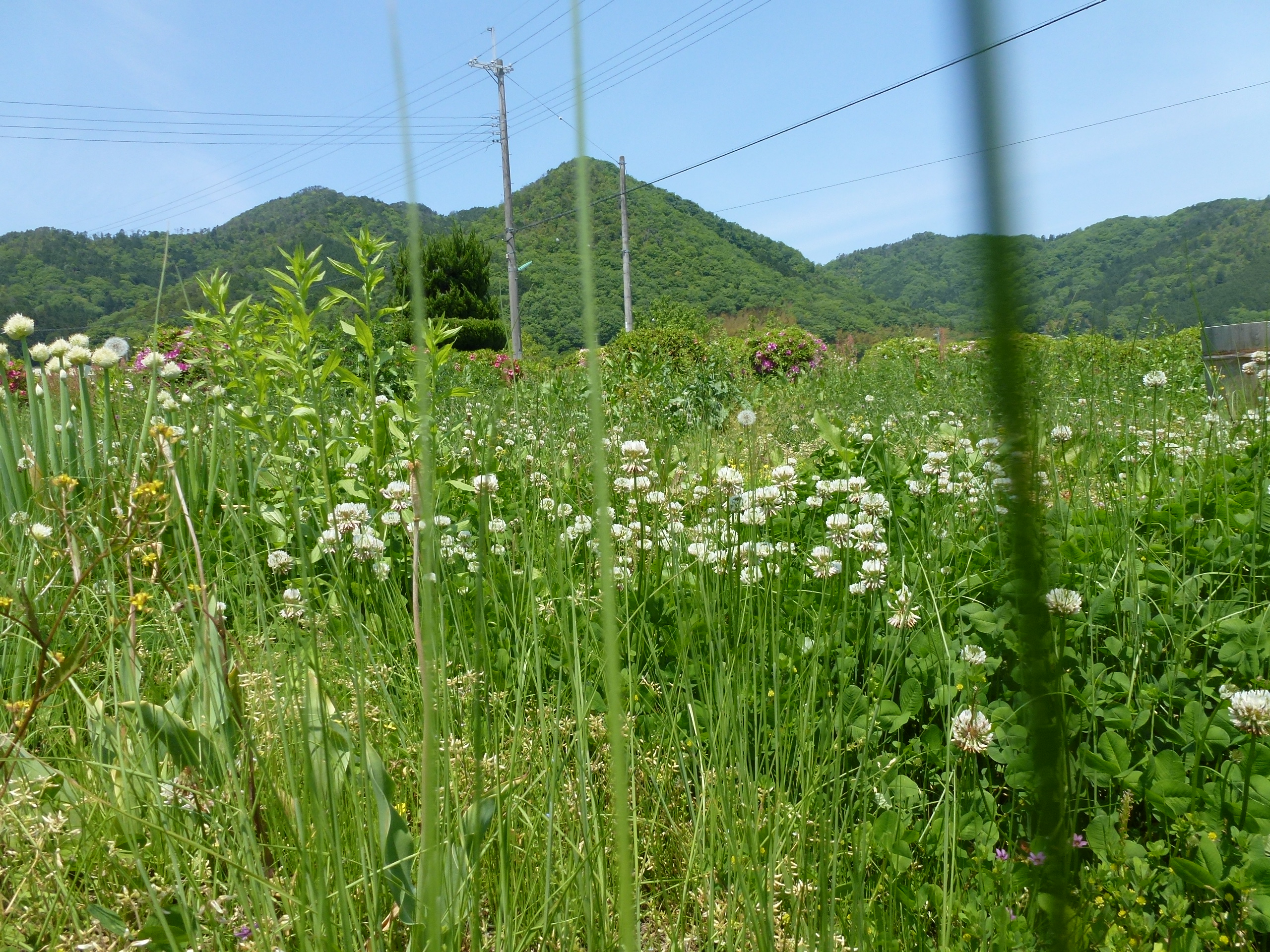 P1050104.JPG