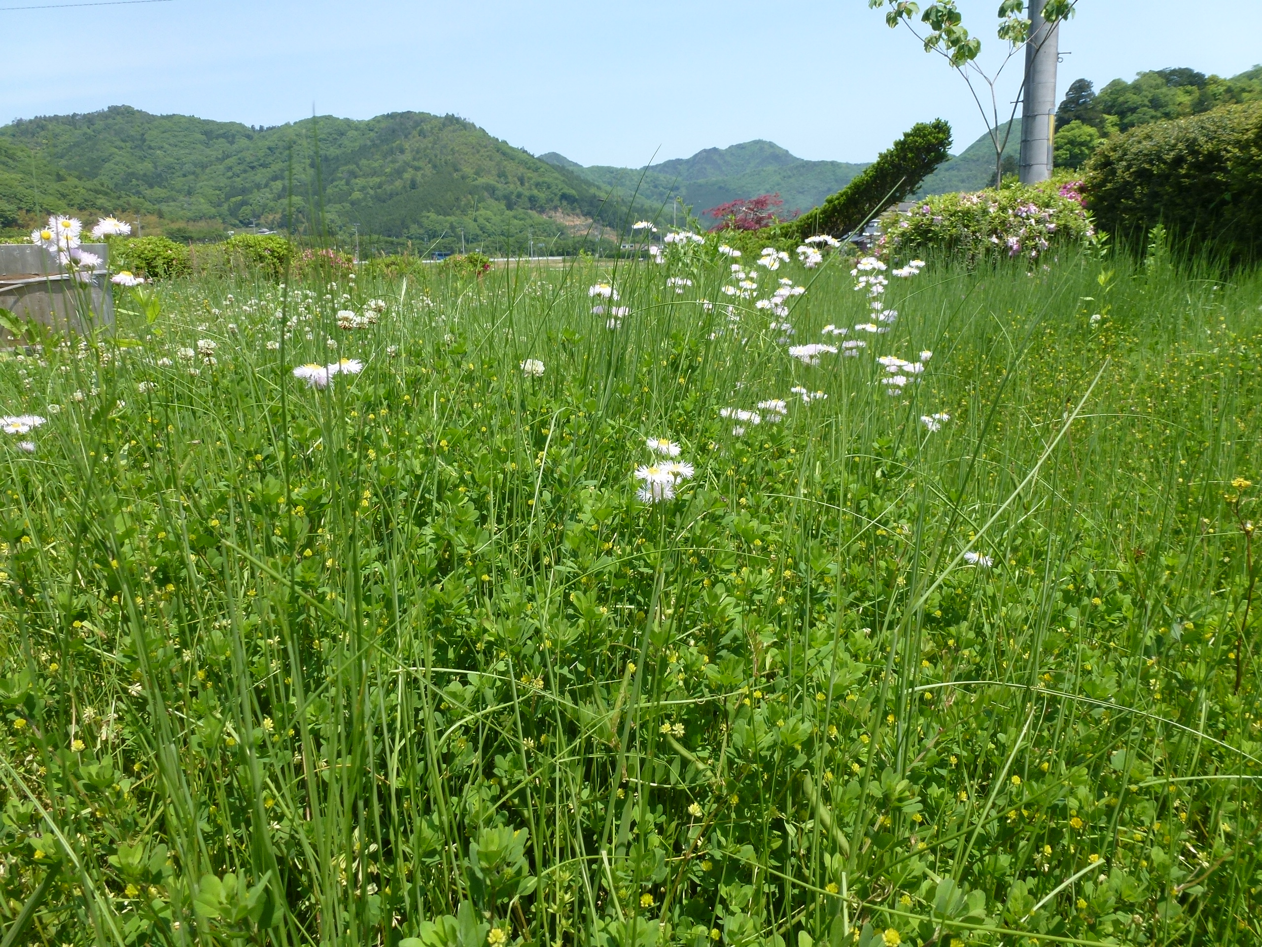 P1050105.JPG