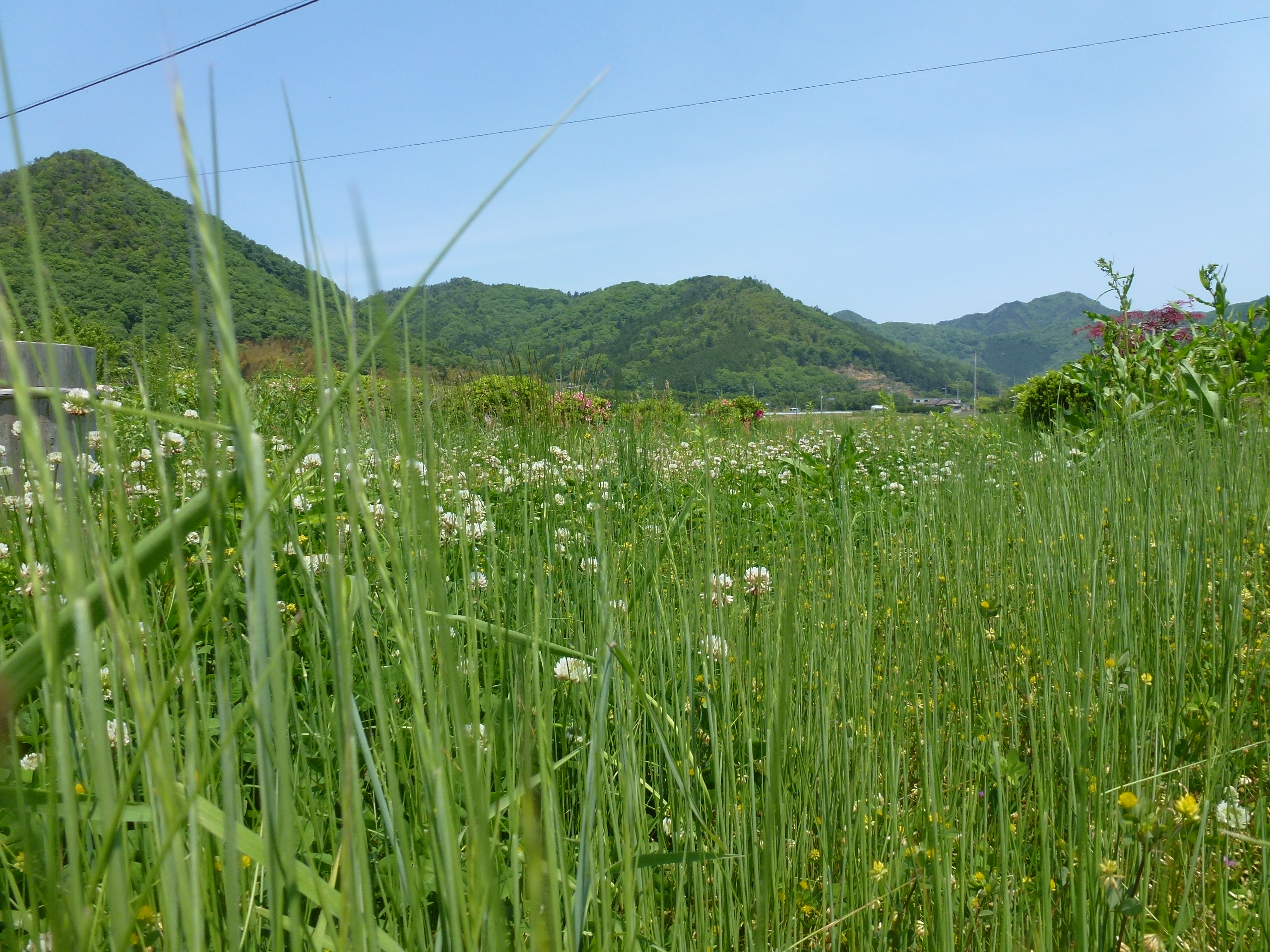 P1050108.JPG