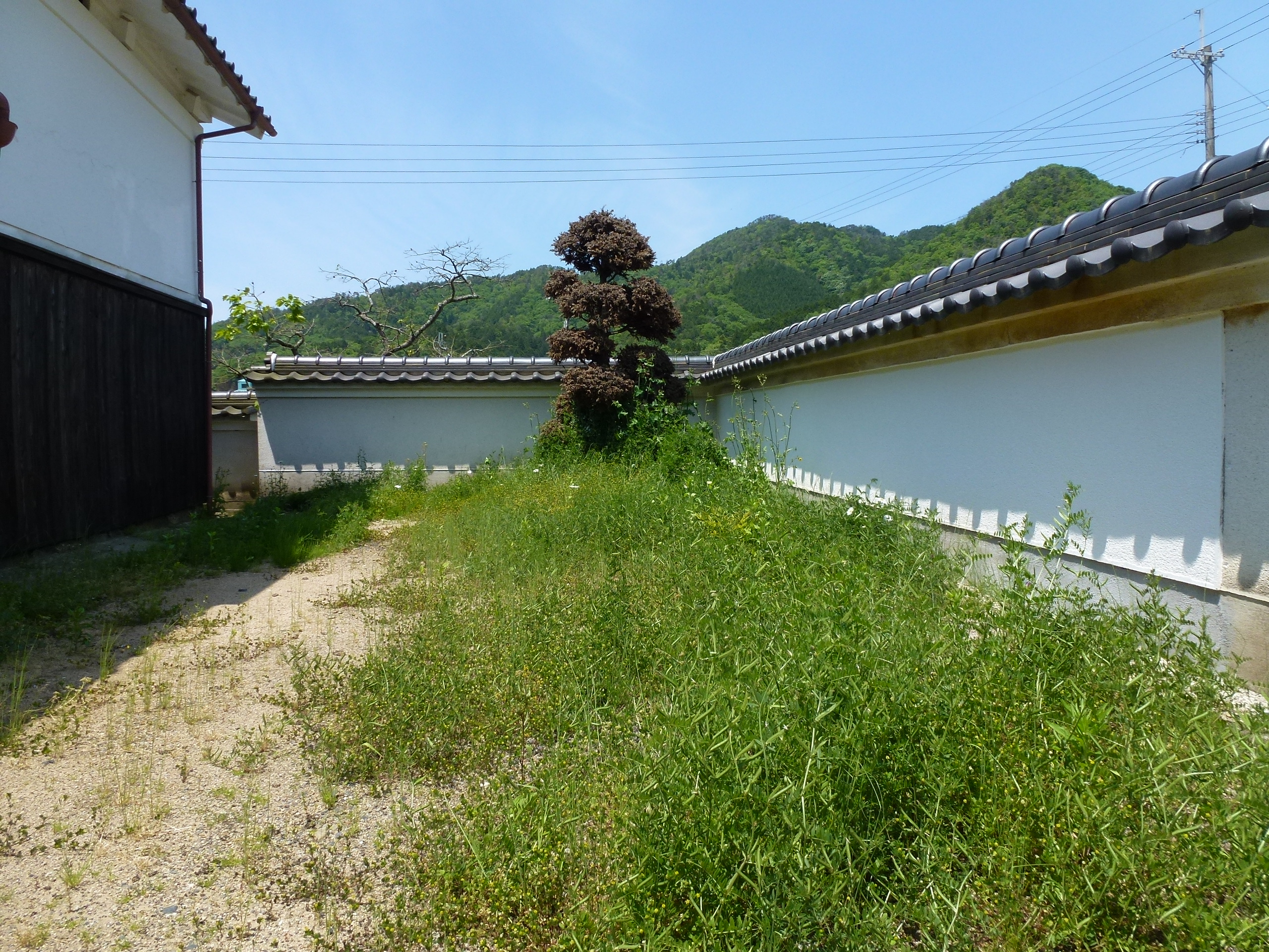 P1050114.JPG