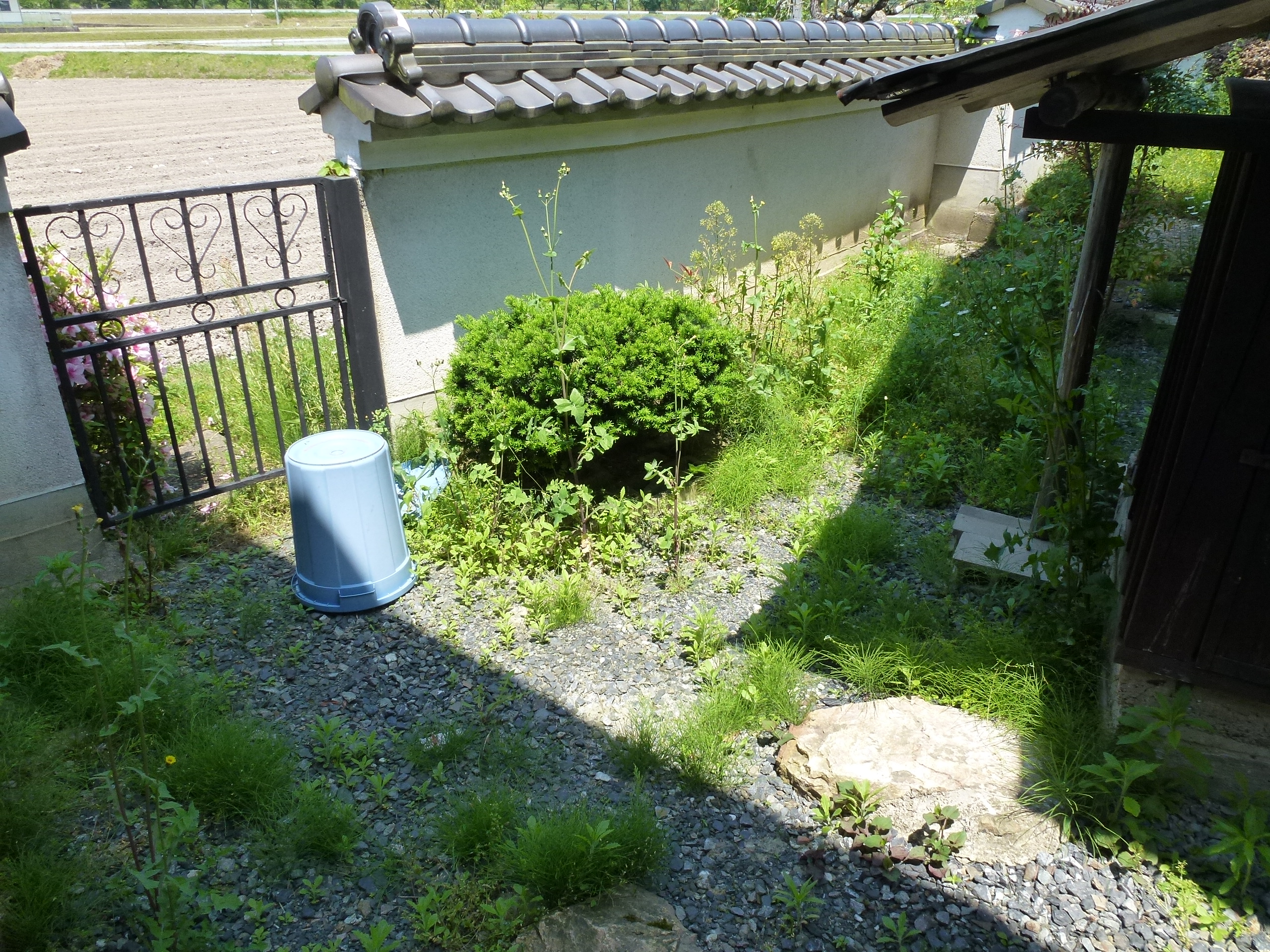 P1050115.JPG