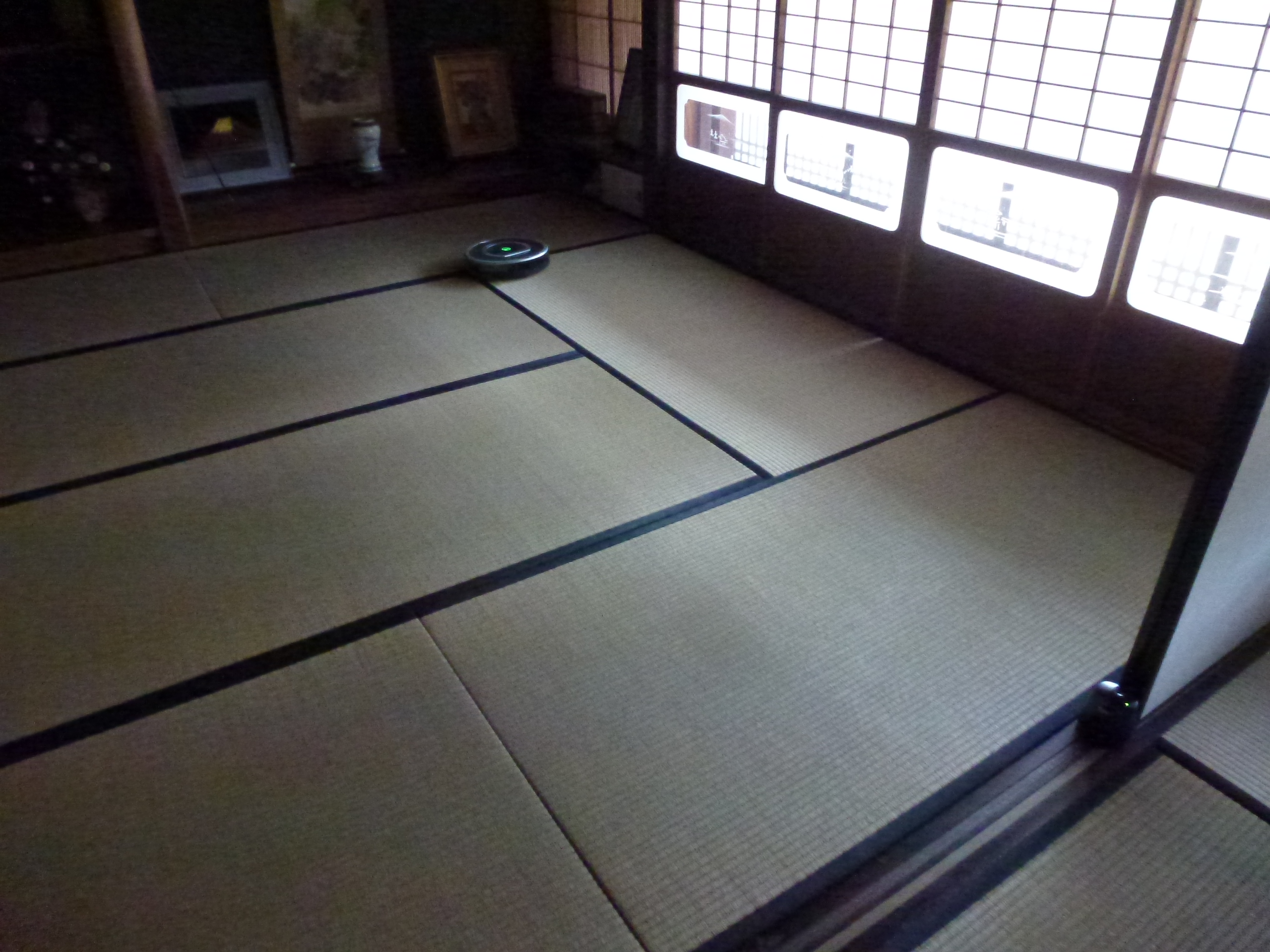 P1050117.JPG