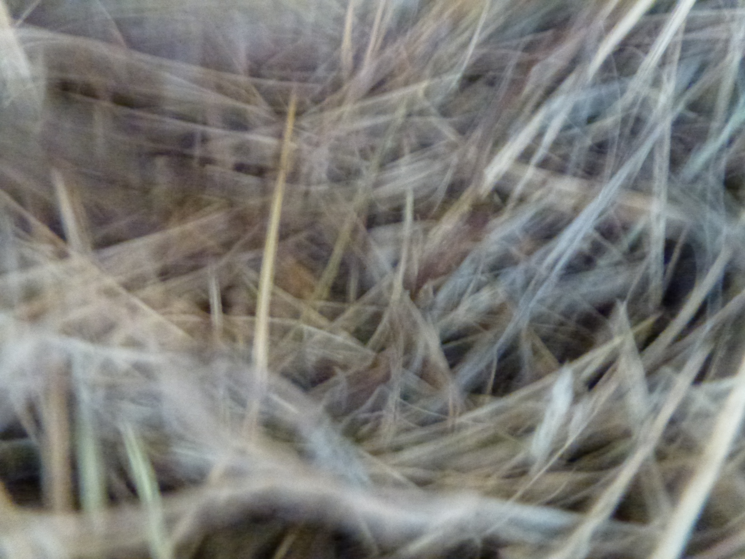 P1050123.JPG