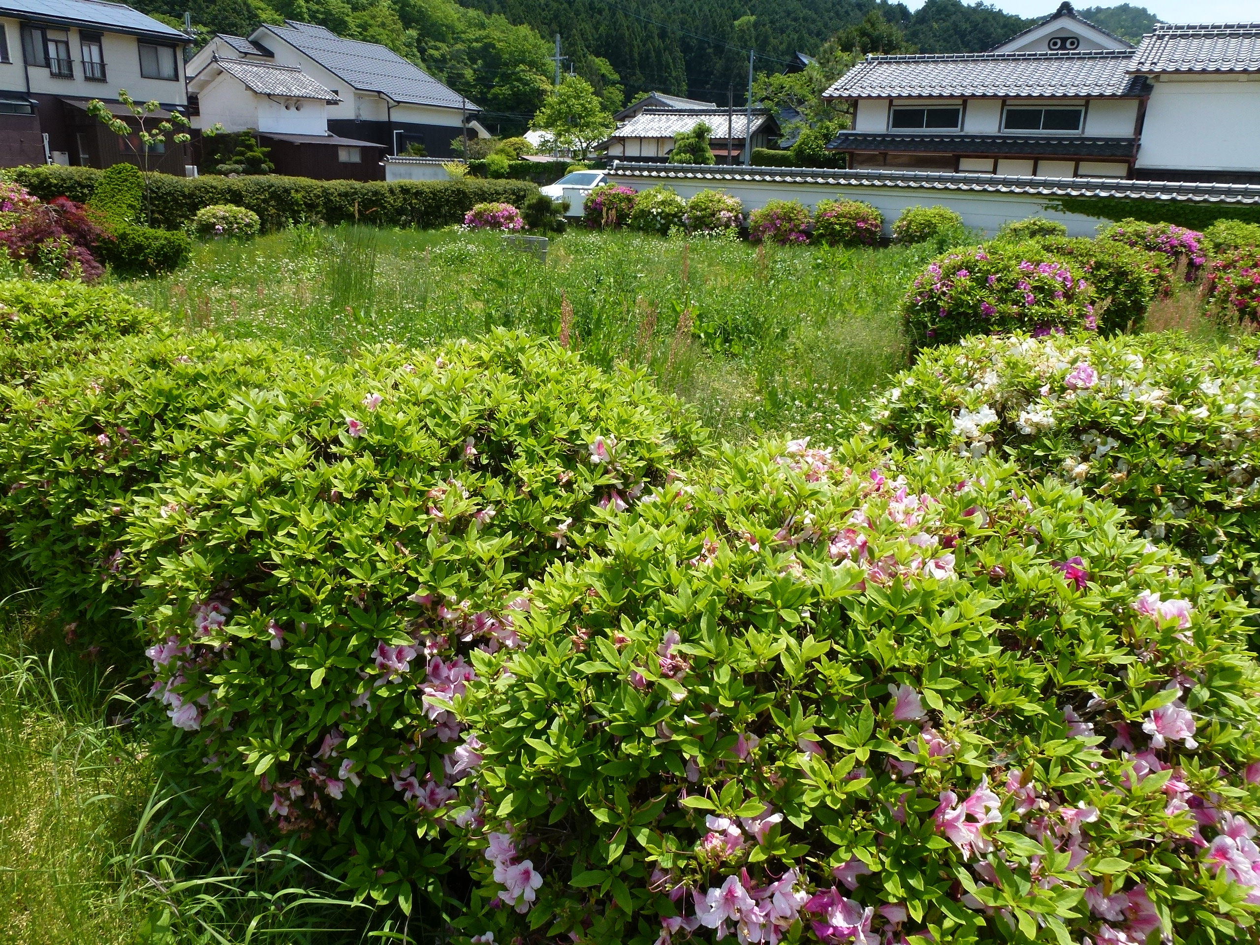 P1050127.JPG