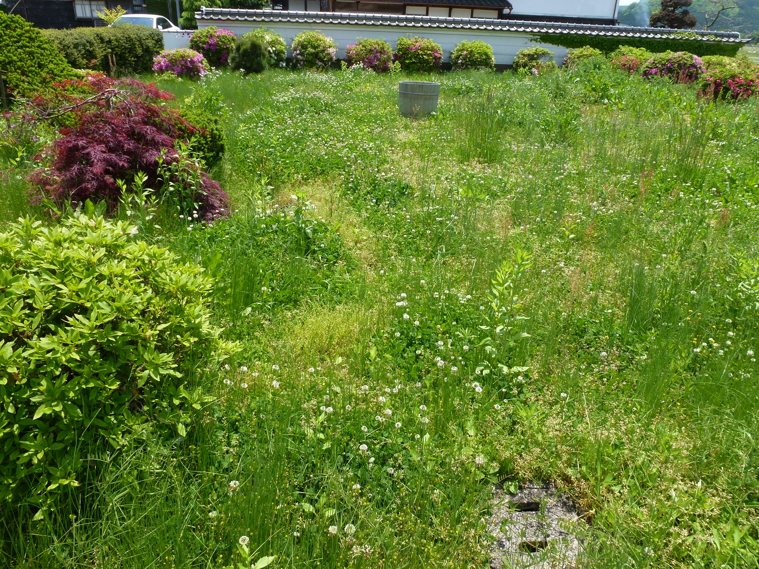 P1050129.JPG