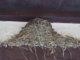 img0003.jpg