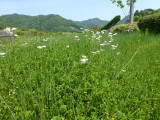 img0015.jpg