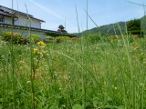 img0017.jpg