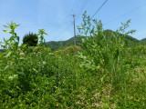 img0020.jpg