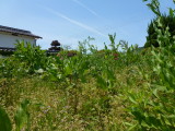 img0021.jpg