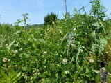 img0022.jpg